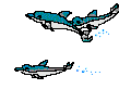 Delfin2.gif